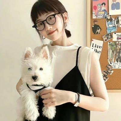 银翼情人